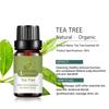 10ml Meridian Dredging Oil Easy To Absorb Deep Cleanse Repair After Sun Shrink