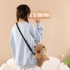Kawaii Kreslená Kapybara Plyšová Crossbody Taška Roztomilá Měkká Taška přes Rameno Kreativní Plyšová Hračka Crossbody Taška Dárky k Narozeninám
