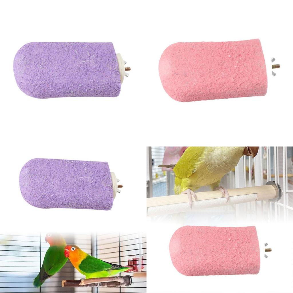 Bird Perch Platform Exercise Foot Claws Trimmer for Caiques Finches Cockatoo