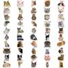 100/1000Pcs Funny Cute Cat Meme Animals Stickers Kawaii Decals Scrapbooking Notebook Luggage Laptop Skateboard Sticker Toy