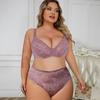 Dámská podprsenková souprava plus size Sexy krajkové stahovací spodní prádlo Čistá touha Průsvitné kalhotky