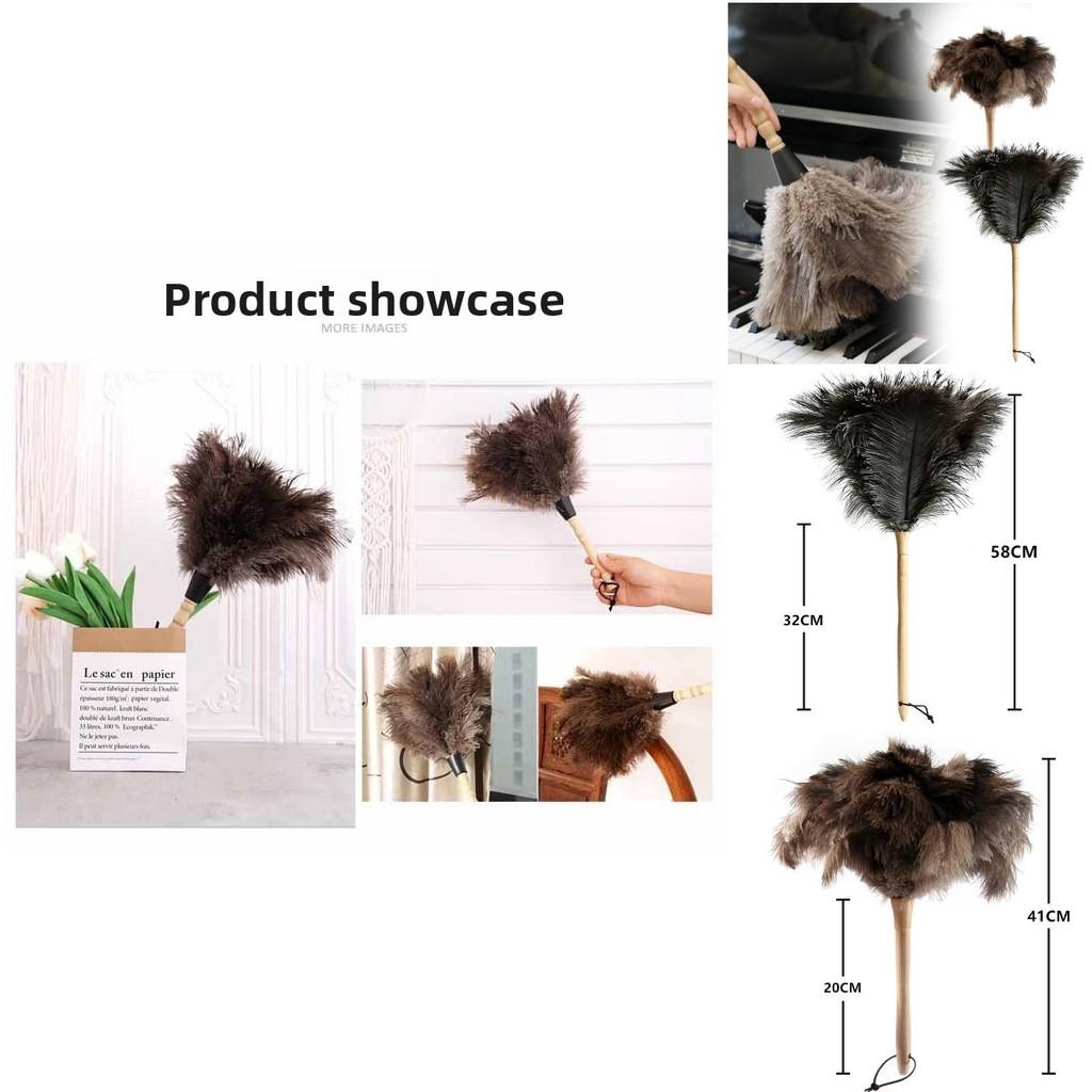 מטלית נוצות יען עם ידית ארוכה לניקוי אבק ביתי וספיגת אבק סטטי