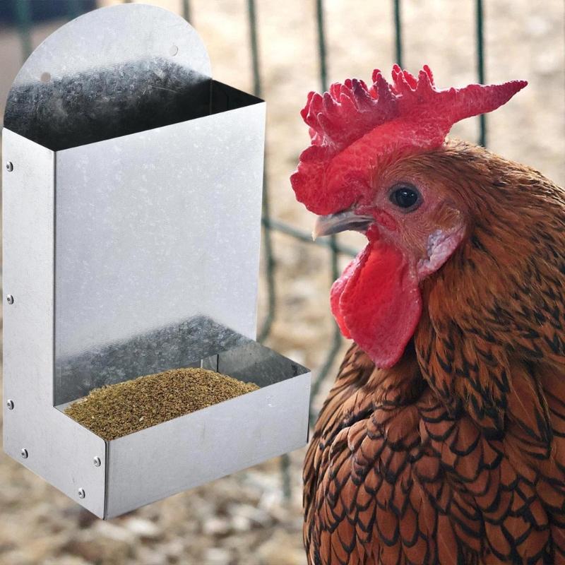 Chicken Feeder Mineral Crushed Food Container Promotes Healthy Digestion And Eggs Formation Easy Installation Feeders