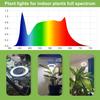 Full Spectrum Grow Light for Indoor Plants, 72 LEDs Halo Plant Light with Auto On/Off Timer (4/8/12H), 10-Level Brightness, 3 Lighting Modes, for