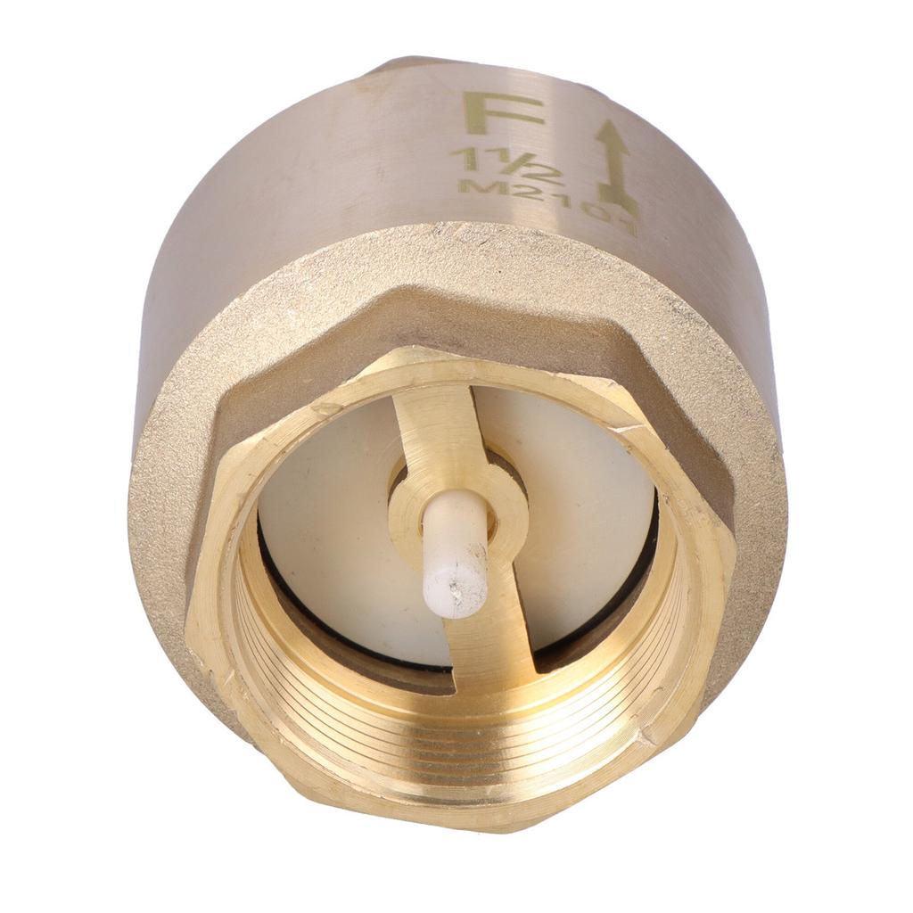 6/4 inch check valve