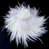 White Rooster Feather Natural Hot Sale Pheasant Plumes Wedding Party Clothing Decoration Accessory 800-1000 Pcs/Lot