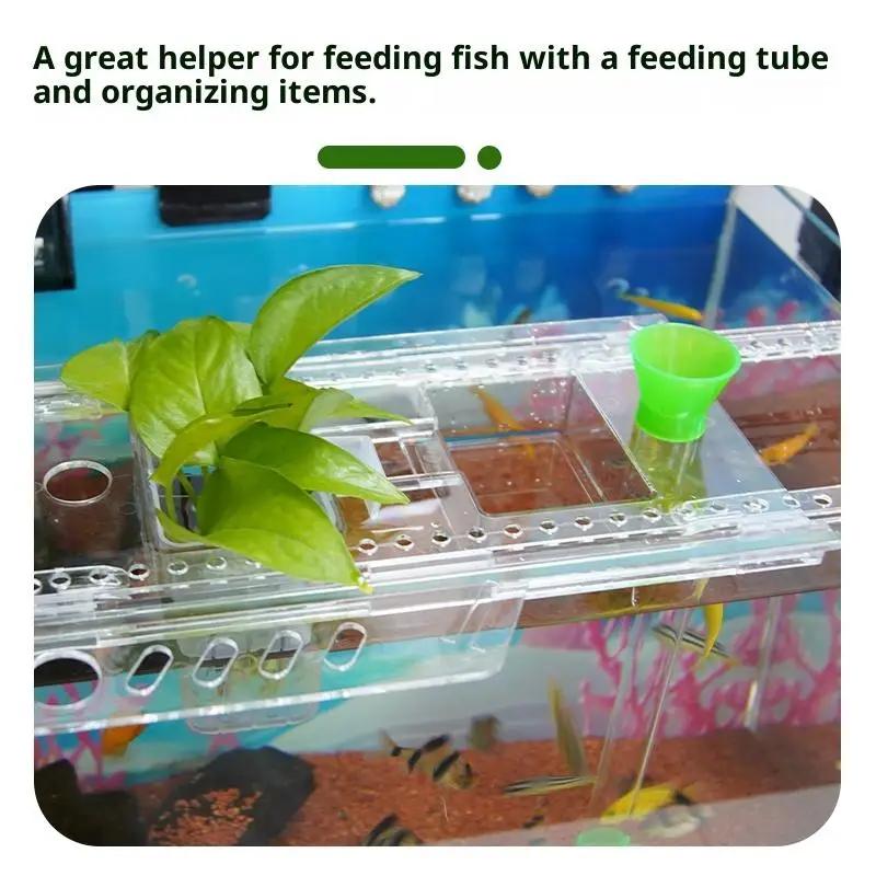Aquarium-Aufbewahrungsregal Stanzfreies Regal Aquariendeckel-Landschaftshalter Hydrokultur-Grünpflanzenwanne