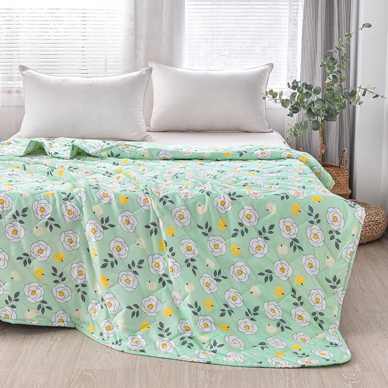 Royal Sleep Refreshing Summer Quilt