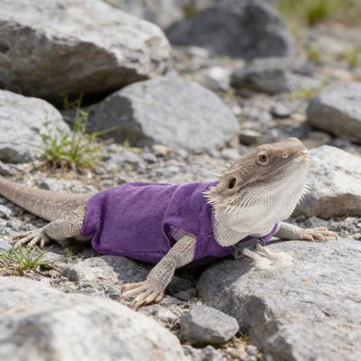 Reptilienkleidung Verstellbarer Kordelzug Pullover Haustier Reptilienbekleidung Weste für Kleine Reptilien Bartagamen Geckos Eidechsen