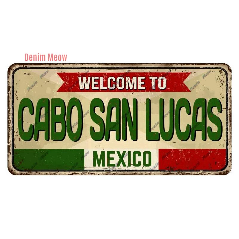 Vintage USA Metal Plates, Retro California 15x30cm Plaque, Florida Metal Tin Sign Poster, Bar, Garage, Gifts, Room Decor WY289