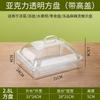 Qianxing Acrylic Rectangular Deep Serving Tray