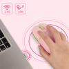 Wireless Mouse, 2.4GHz, USB Receiver Storage, Cat Pattern, Silent Operation, Type-C Rechargeable, 7-Color RGB Lighting, 3-Stage DPI Switching,