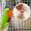 Acrylic Rotate Parrot Toys Interactive Birds Grid Food Box Practical Parrot Puzzle Feeder  Conure