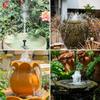 2.5W Solar Fountain Pump with 6 Nozzles for Bird Baths, Ponds, Gardens - DIY Outdoor Water Feature