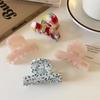 Stylish French Hair Claw Clip Small Acetate Shark Clip Sweet Elegant Half-Updo Hairpin for Women