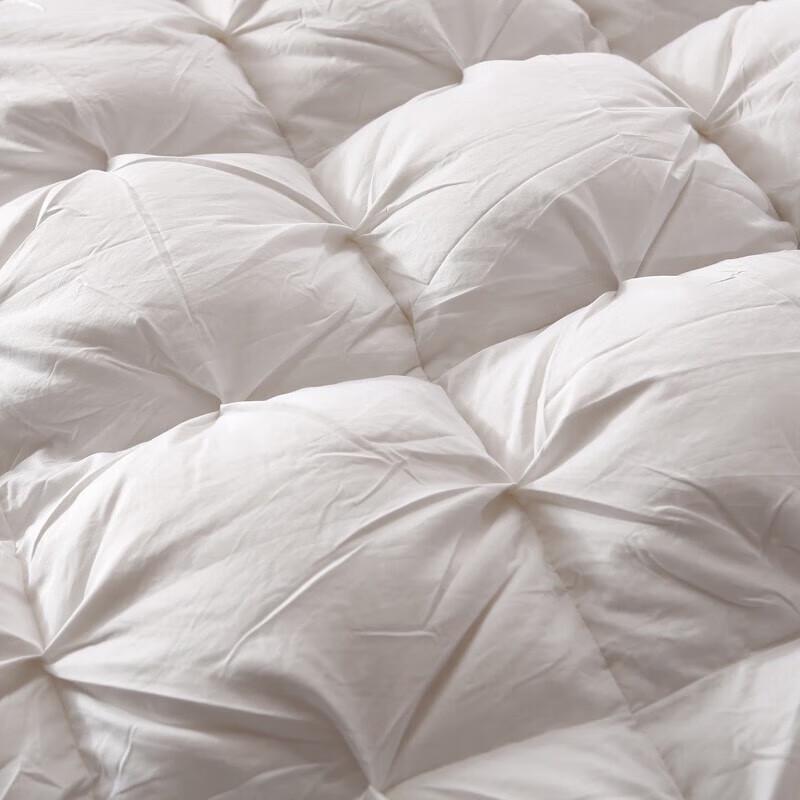 Yalu Luxury Winter Polyester Fiber Duvet Insert 200x230cm