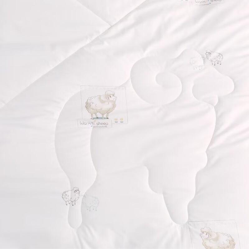 Hengyuanxiang Anti-bacterial 100% Wool Quilt