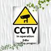Lacăte și accesorii pentru uși – Plăci pentru uşă