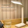oeny LED Desk Lamp