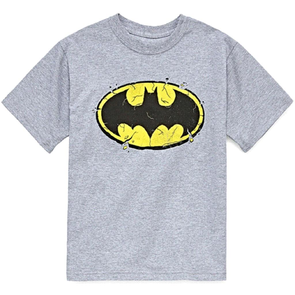 Batman Crumbling Bat Logo Little Boy's T-Shirt - NWT