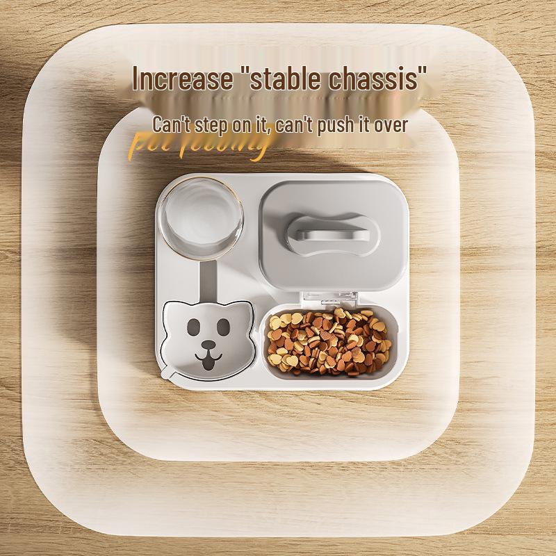 Automatic Pet Feeder and Water Dispenser for Cats and Dogs