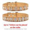 (Lettera Gratuita con Strass Bling)Collare Personalizzato in Pelle per Gatto Cane Collari per Cuccioli per Cani Piccoli Medi Target Nome ID Personalizzato