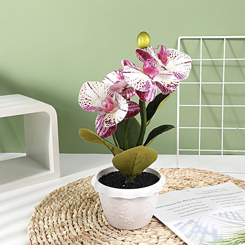 Artificial Phalaenopsis Flower Decor With Plastic And Silk Materials For Indoor Garden And Photography Props