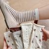 2026 New Mesh Floral Lace Women's Thin Striped Long Socks - Spring & Summer Korean Style