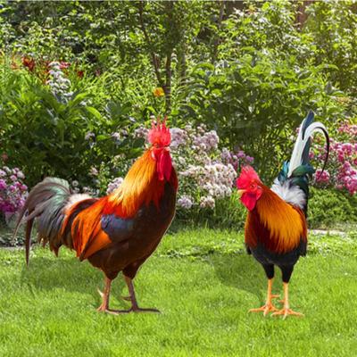 Garden Rooster Statue Chicken Sculpture For Yard Decor Weatherproof Hen Figurine For Patio Backyard Home Outdoor Decoration