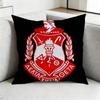 DDelta Sigma TTheta Pillow Case Square DoubleSided Sofa Cushion Cover Bedroom Bedside Pillow Gift