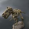 Velké DIY Kostry Dinosaurů Hračky Ozdoba Simulace Model T-Rexe Park Kostry Jurasského období Fosilizovaný Drak pro Děti Chlapce