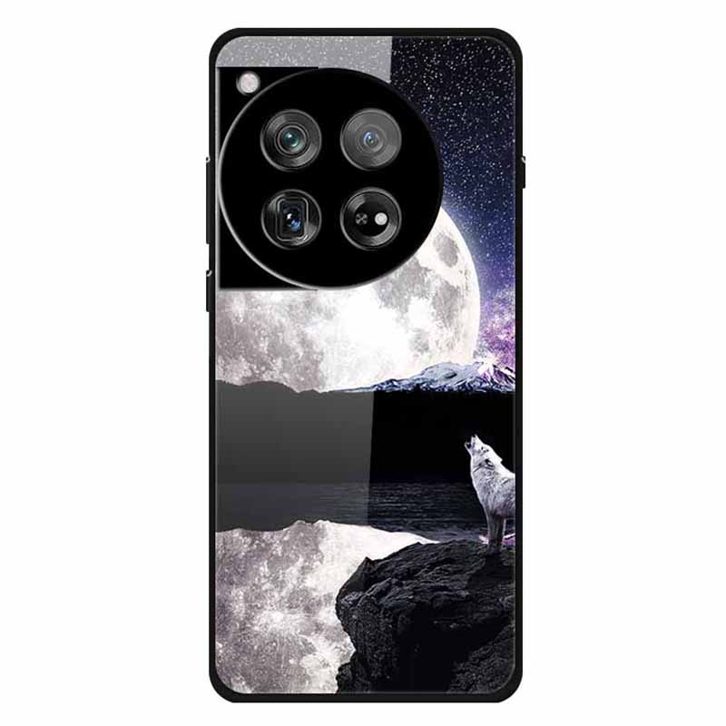 For OnePlus 12 5G Phone Case Pattern Printing Tempered Glass Shockproof Cover