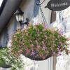 Round Fabric Planter Liner 3pcs Round Black Window Box Liners Plant Basket Accessories For Vegetable Flower Pot Prevent Birds
