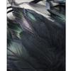 Gothic Feather Shawl Shrug Shoulder Wrap Victorian Lace Collar Halloween Cosplay Costume Accessories for Adult Women
