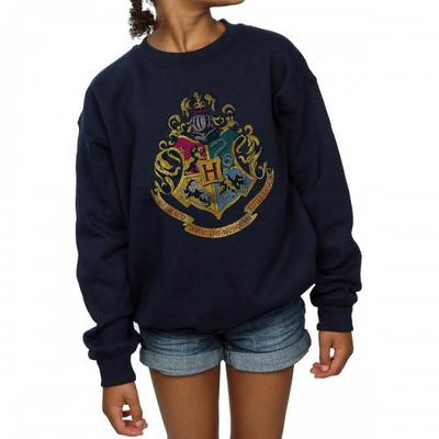 Överdelar (Flickor över 4 år) – Luvtröjor, tröjor och sweatshirts
