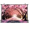 A vibrant cherry blossom photography background - a charming pink flower avenue scene, made of durable polyester