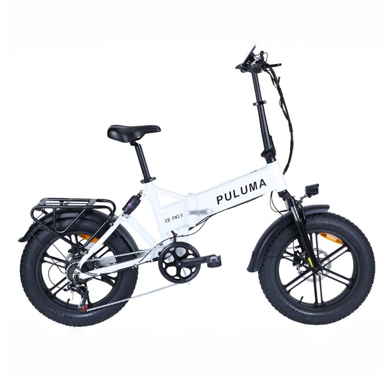 PULUMA FM2.0 Bicicletta Elettrica Pieghevole 48V15AH Batteria al Litio Rimovibile Ruota Fat 20x4.0 per Tutti i Terreni 7 Velocità Freno Idraulico 250W Ebike per Adulti