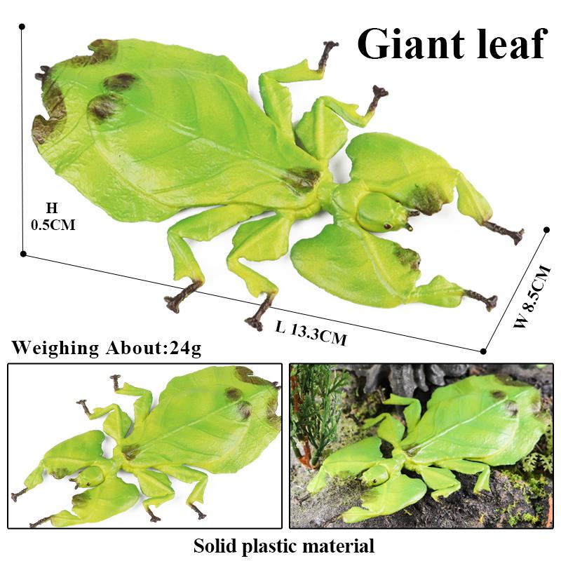 Oenux Wild Insect Animals Model Mantis Grasshopper Butterfly Bee Beetle Action Figures PVC Science Education Collection Kid Toy