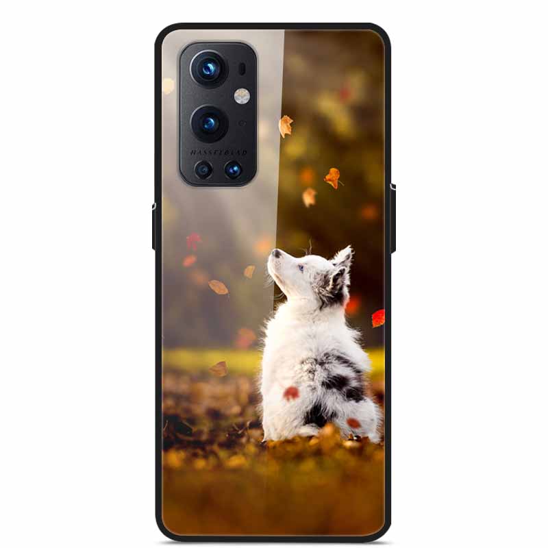 Phone Cases for One Plus 9 Tempered Glass Hard PC Back Cover For OnePlus 9 EU Version Case for Oneplus9 Funda Shells