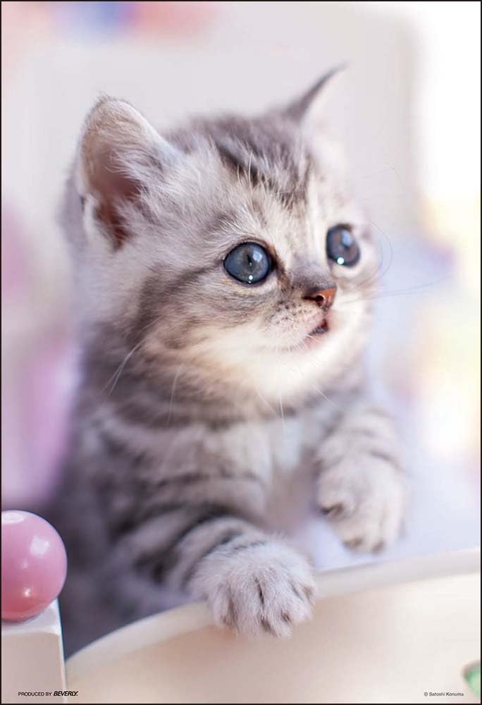 

[Made in Japan] Beverly 300-Piece Jigsaw Puzzle Good Morning (26 x 38 cm) 300-034