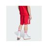 Шорты adidas 159247