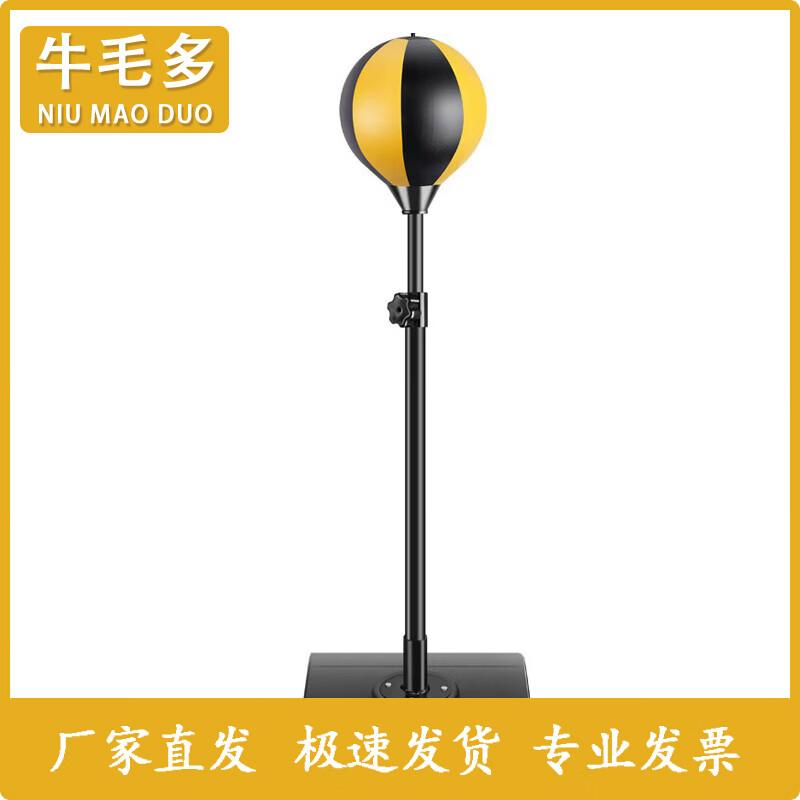 Standing Boxing Speed Ball