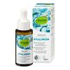 Alverde Hyaluronserum 30ml