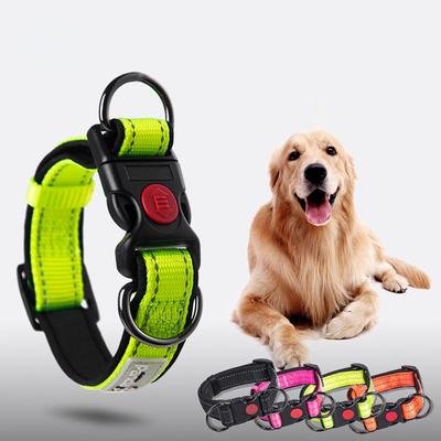 Köpek – Köpek Tasmaları ve Tasma Kayışları