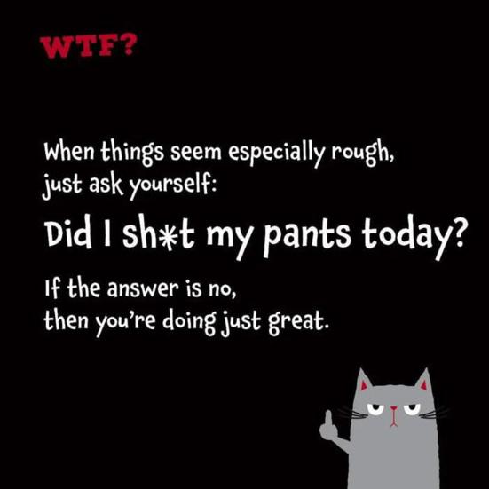 Mein Kleines WTF-Glas mit 60 Krassen Selbstpflege-Zitaten Sarkastische Affirmationskarten für Erwachsene Lustiges Motivationsgeschenk