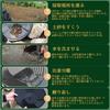 gold panning gold panning gold gold mineral collecting Panning, tools, pan, mining, prospecting, tools.