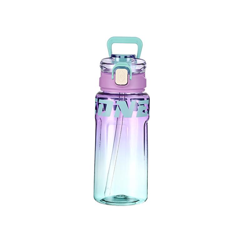 Nu Feng 850ML High-Capacity Sports Water Bottle with Straw - 2 Pack