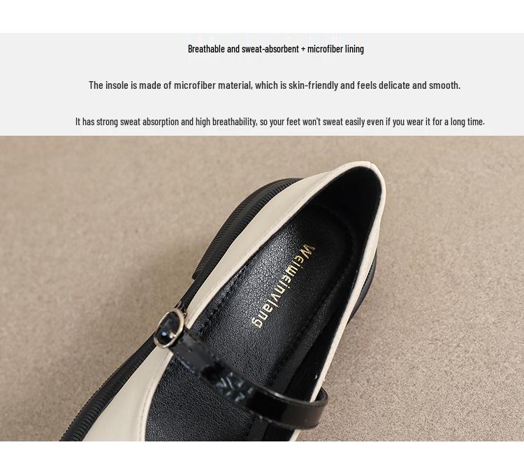 Women's 2023 Thick-Soled Mary Jane Loafers - Spring/Autumn Round-Toe Chunky Heel, Soft Sole