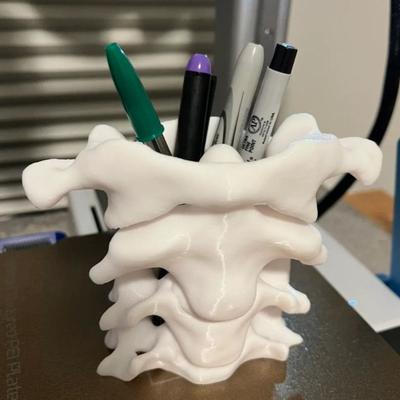 Simulation Spine Pen Holder Brush Holder Spine Pencil Holder Medical Student Gift 3D Vase Storage Box Office Desktop Organiser