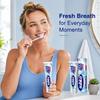 Subito Refreshing Bad Breath Relief Toothpaste 200g